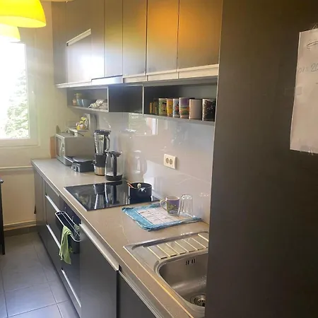 Lux Apartment Belgrad